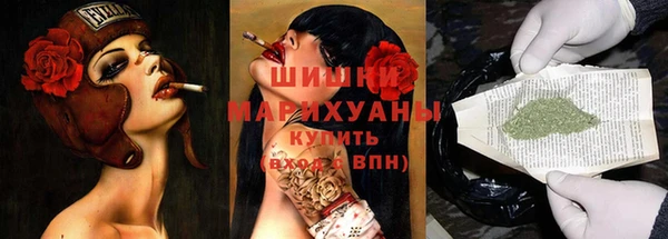 мдпв Вяземский