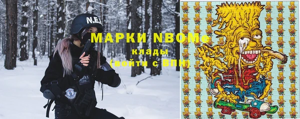 мдпв Вяземский