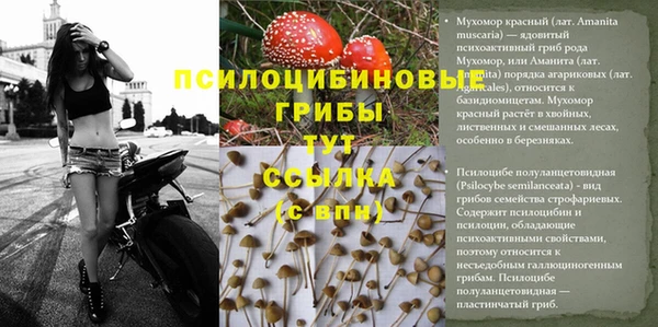 таблы Строитель