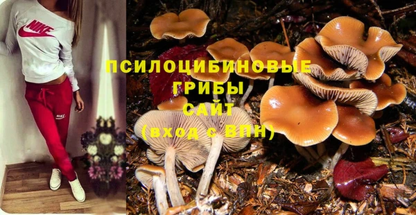 мяу мяу мука Вязьма