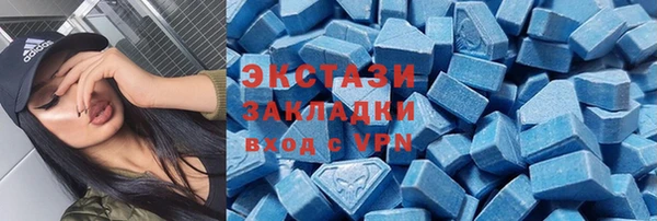 мдпв Вяземский