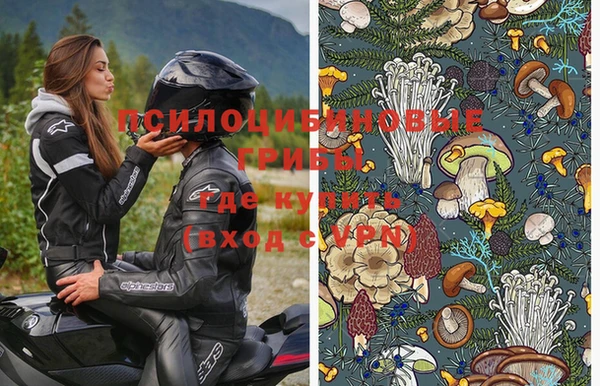 мдпв Вяземский