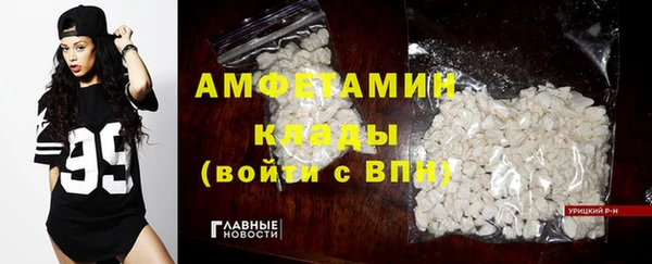 мдпв Вяземский
