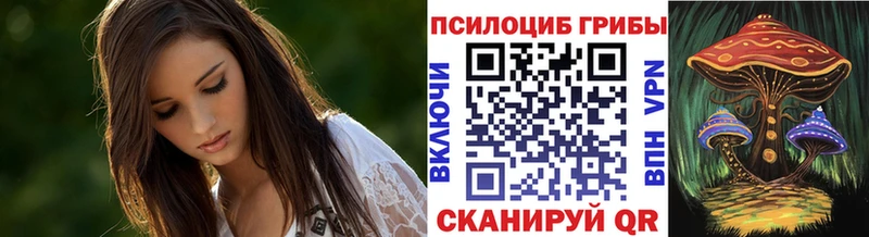 Псилоцибиновые грибы GOLDEN TEACHER  кракен ссылки  Нестеровская 