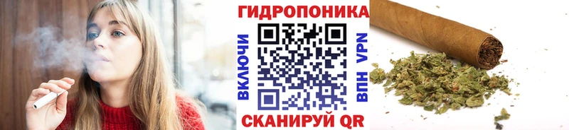 Канабис MAZAR  Нестеровская 
